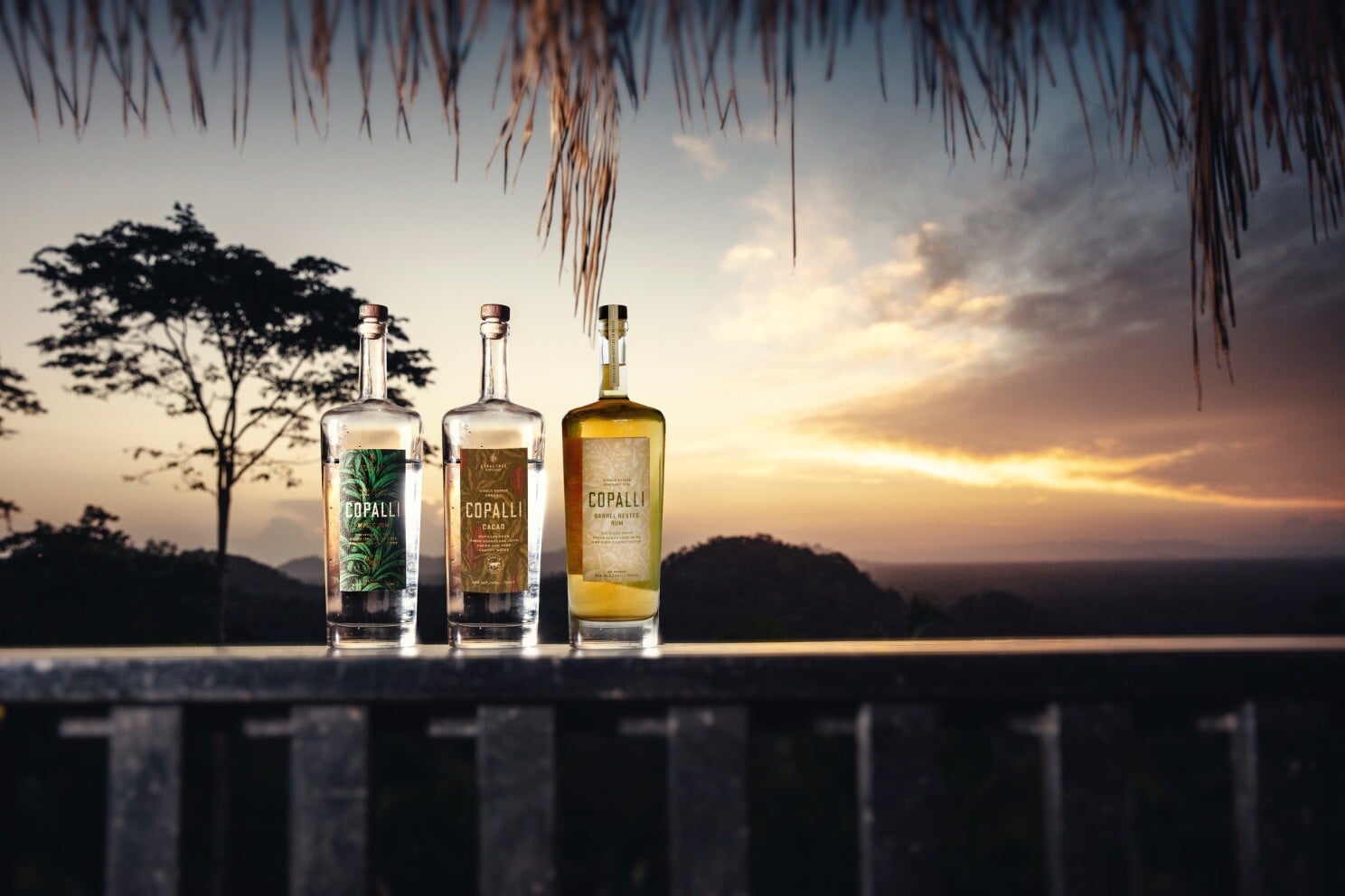 Copalli Bottles Rainforest Leading Copalli Bottles Rainforest Leading